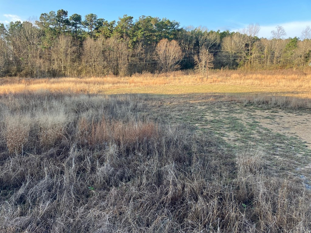 1111 Brookhaven Street Brookhaven, MS 39601 - Photo 8 of 9 Photo 8