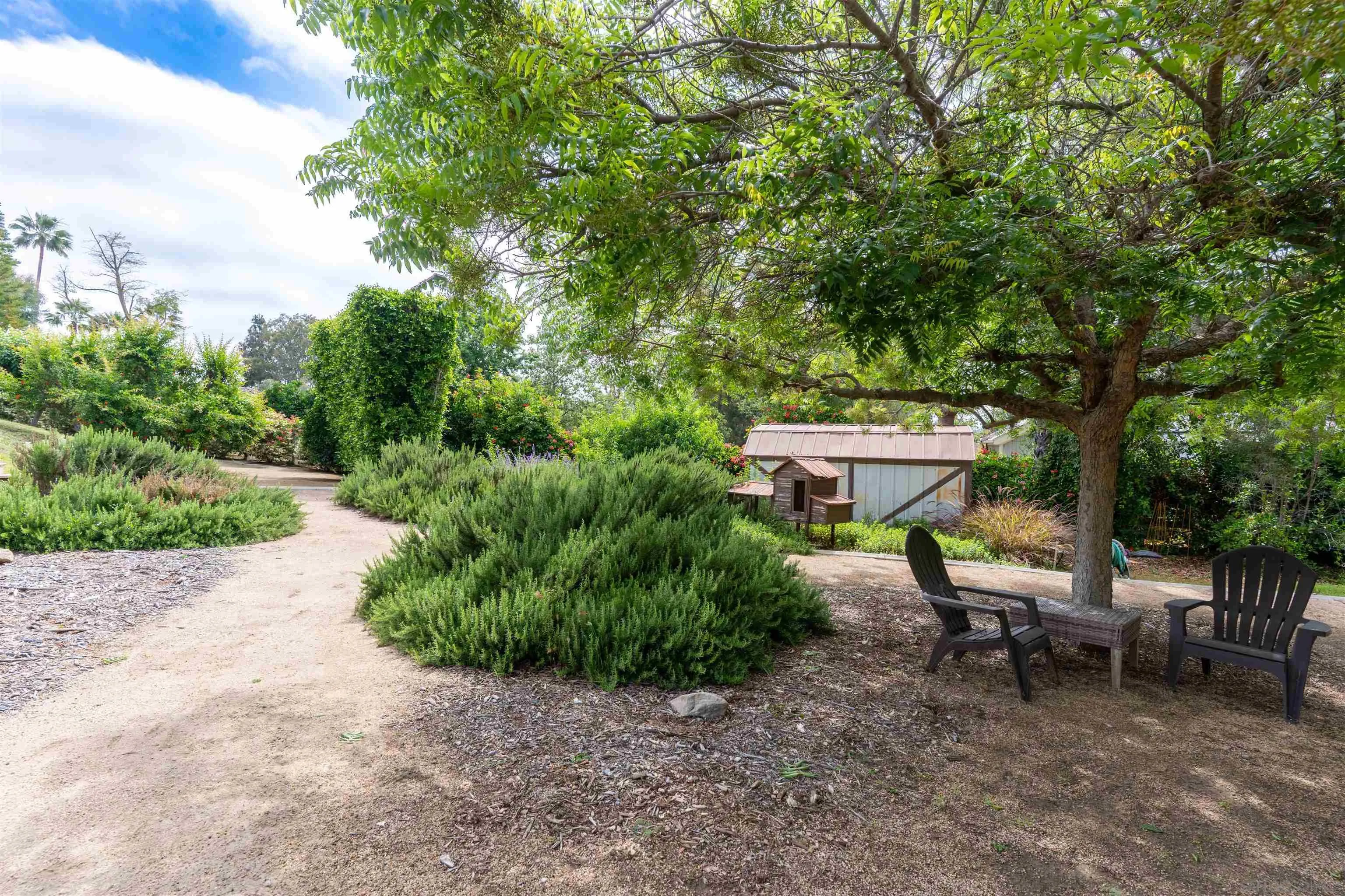 1036 Capra Way Fallbrook, CA 92028 - Photo 38 of 51 a view of a bench in a backyard