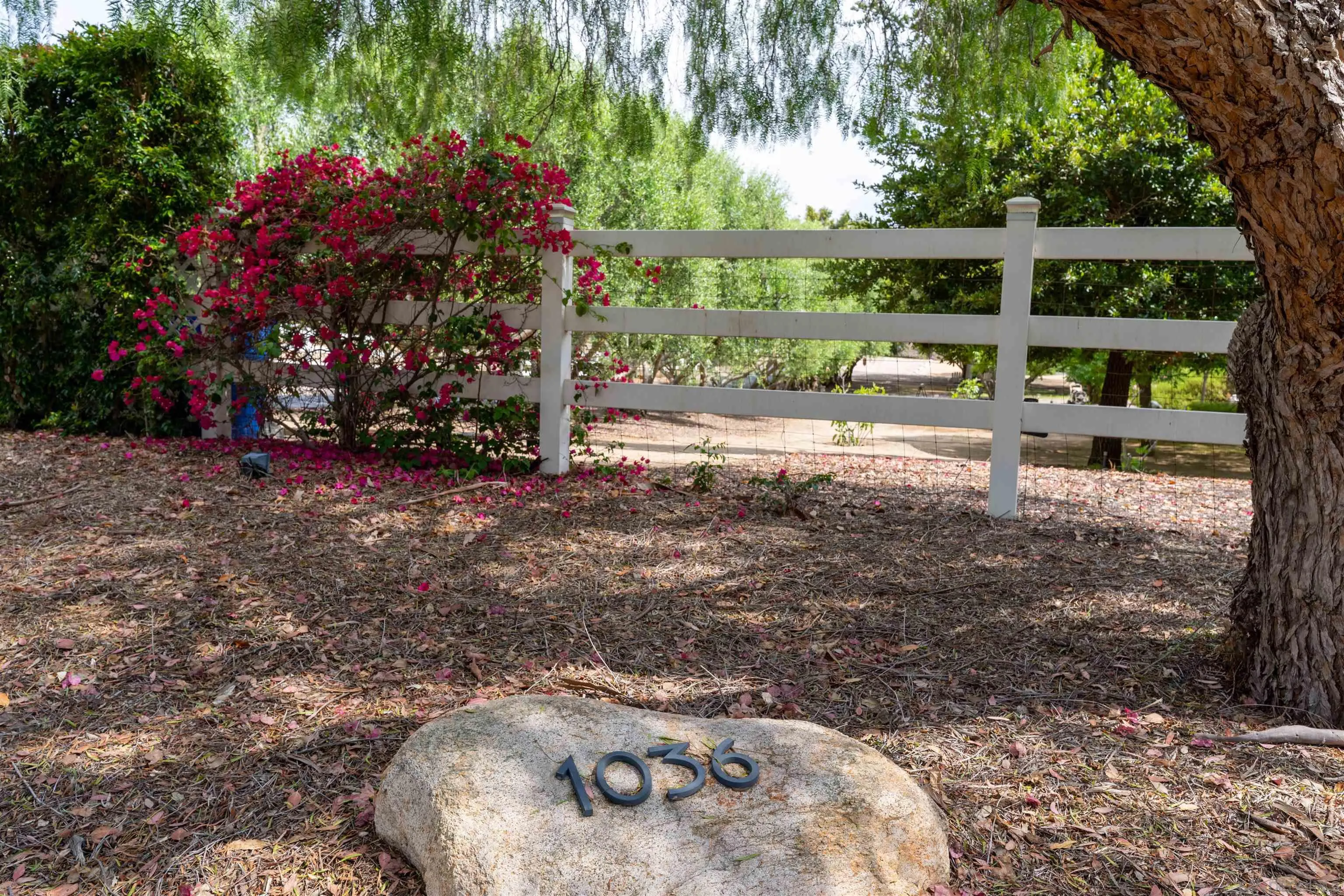 1036 Capra Way Fallbrook, CA 92028 - Photo 42 of 51 a view of a backyard with a table and chairs and a large tree