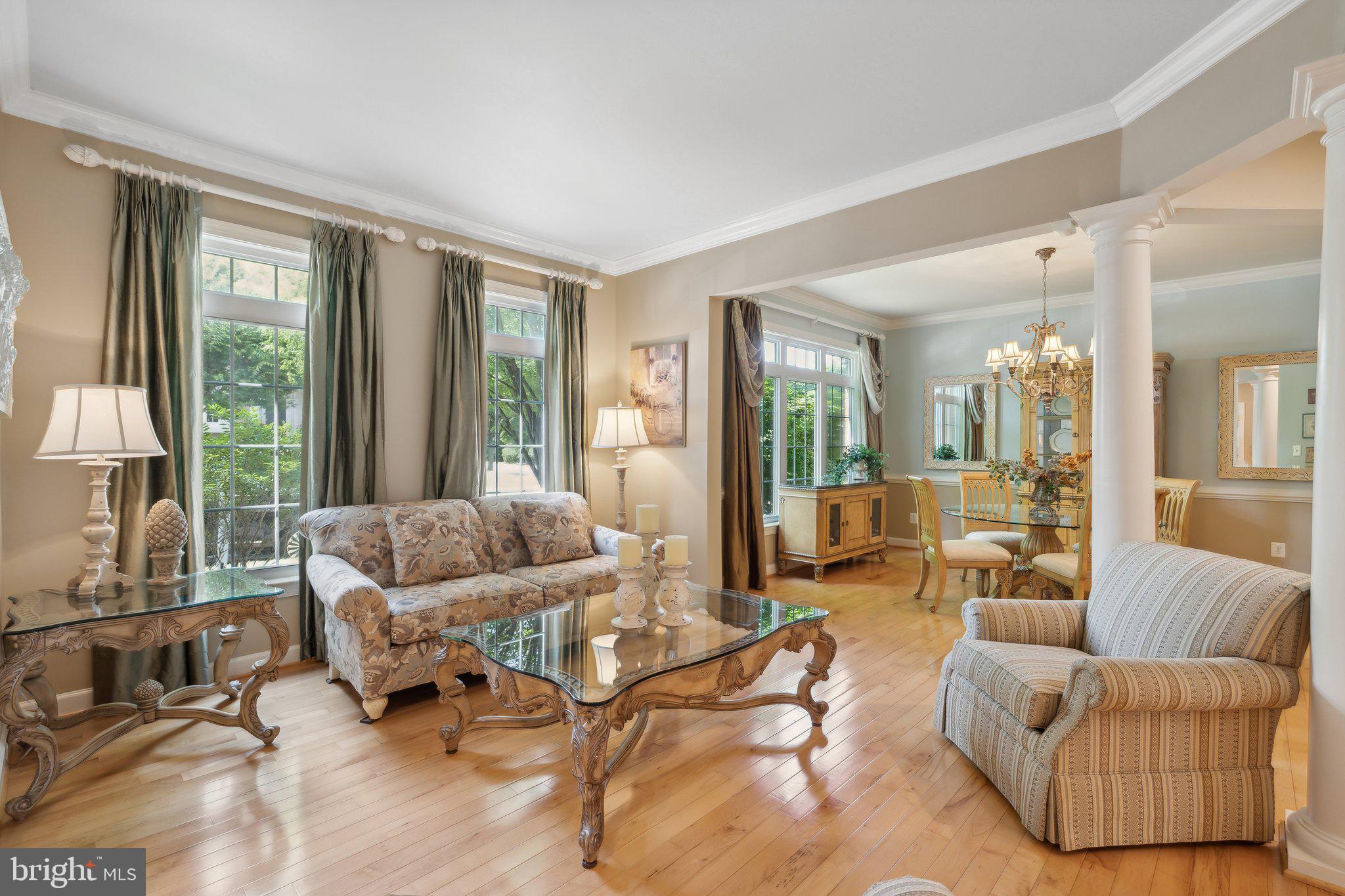 24908 Castleton Drive Chantilly, VA 20152 - Photo 4 of 47 Living Room