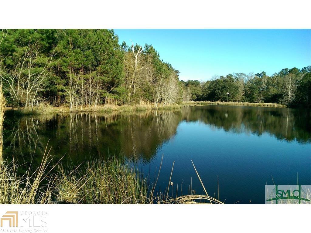 0 Lake No No Road Midway, GA 31320 - Photo 1 of 1 Gallery Image 1