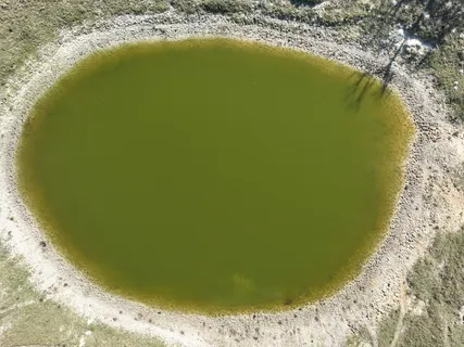 $2,436,750 | 848 County Road 359, Gause, TX 77857