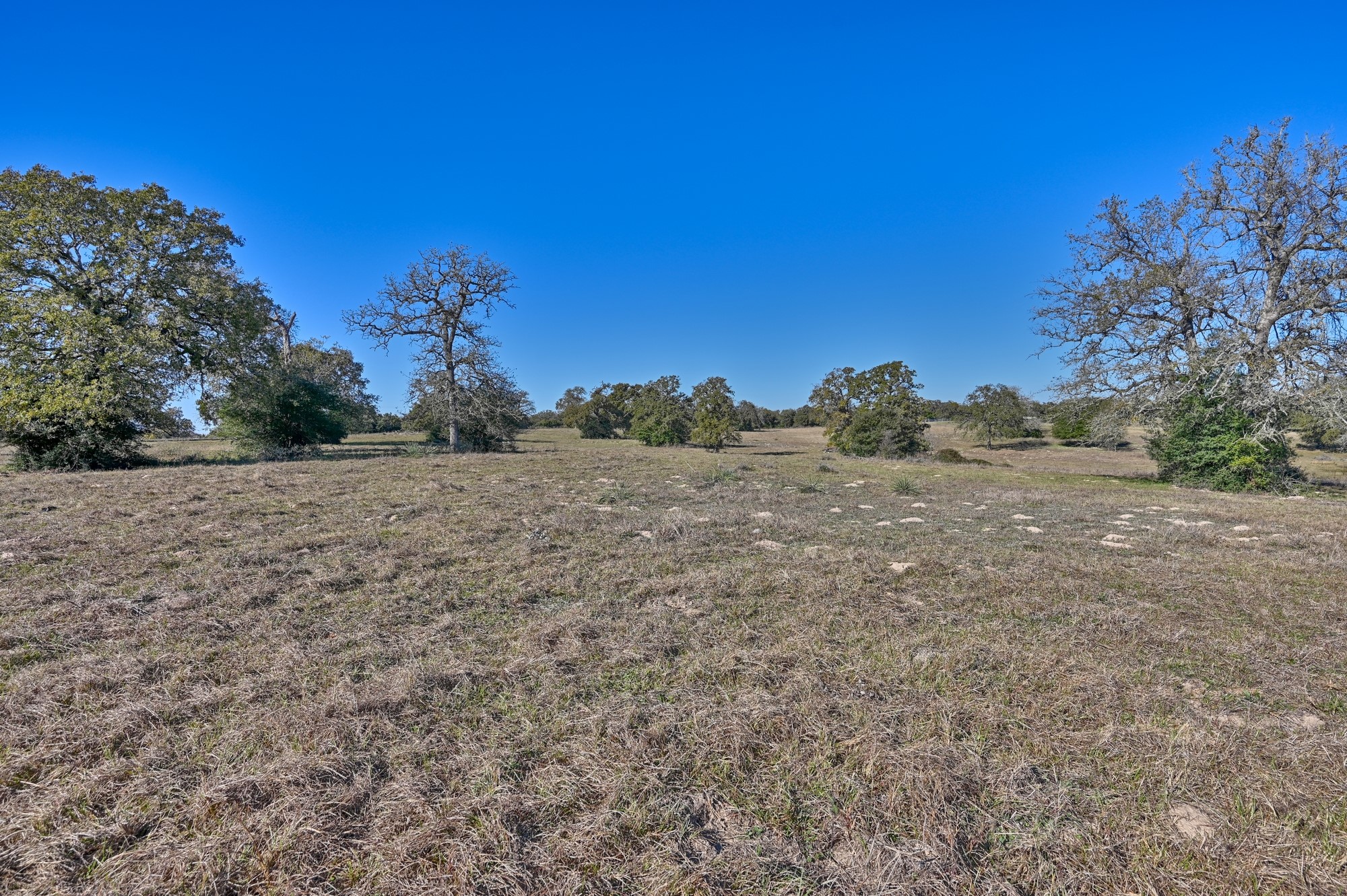 848 County Road 359 Gause, TX 77857 - Photo 27 of 50