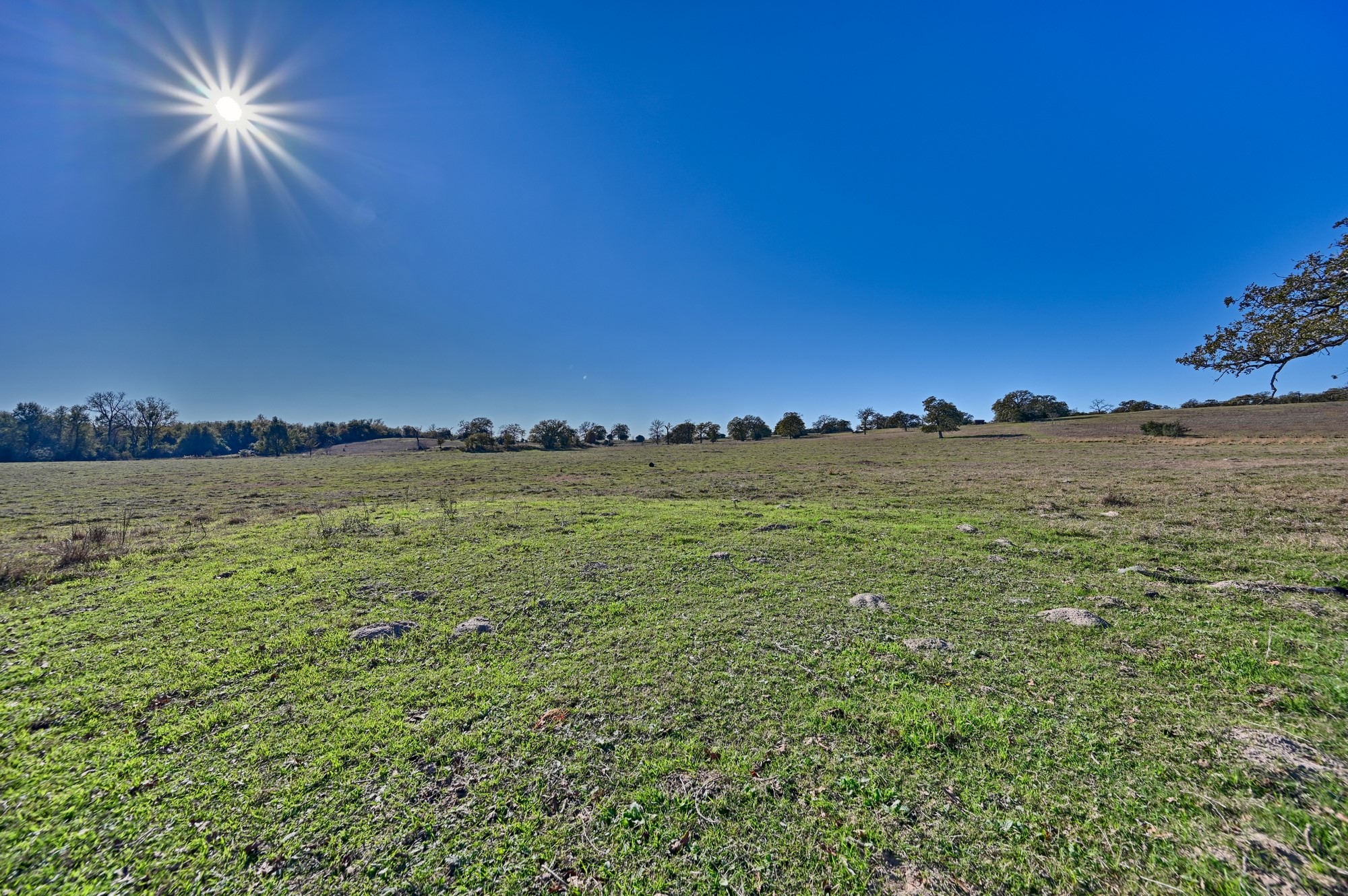848 County Road 359 Gause, TX 77857 - Photo 32 of 50 a view of a lake and a yard