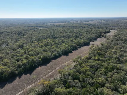 a view of a field with trees in the background