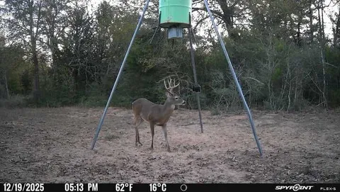 $2,436,750 | 848 County Road 359, Gause, TX 77857