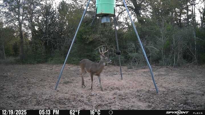 848 County Road 359 Gause, TX 77857 - Photo 47 of 50