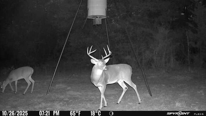 848 County Road 359 Gause, TX 77857 - Photo 48 of 50 a fan