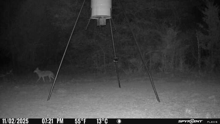 848 County Road 359 Gause, TX 77857 - Photo 48 of 50