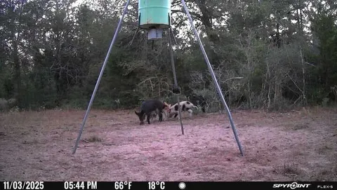 $2,436,750 | 848 County Road 359, Gause, TX 77857