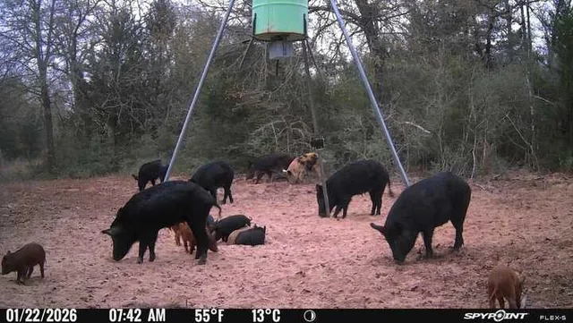 $2,436,750 | 848 County Road 359, Gause, TX 77857