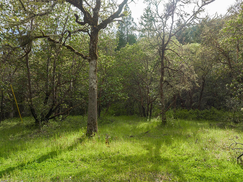 3336 Wards Creek Road Rogue River, OR 97537 - Photo 32 of 35 Acreage across the road from the home.