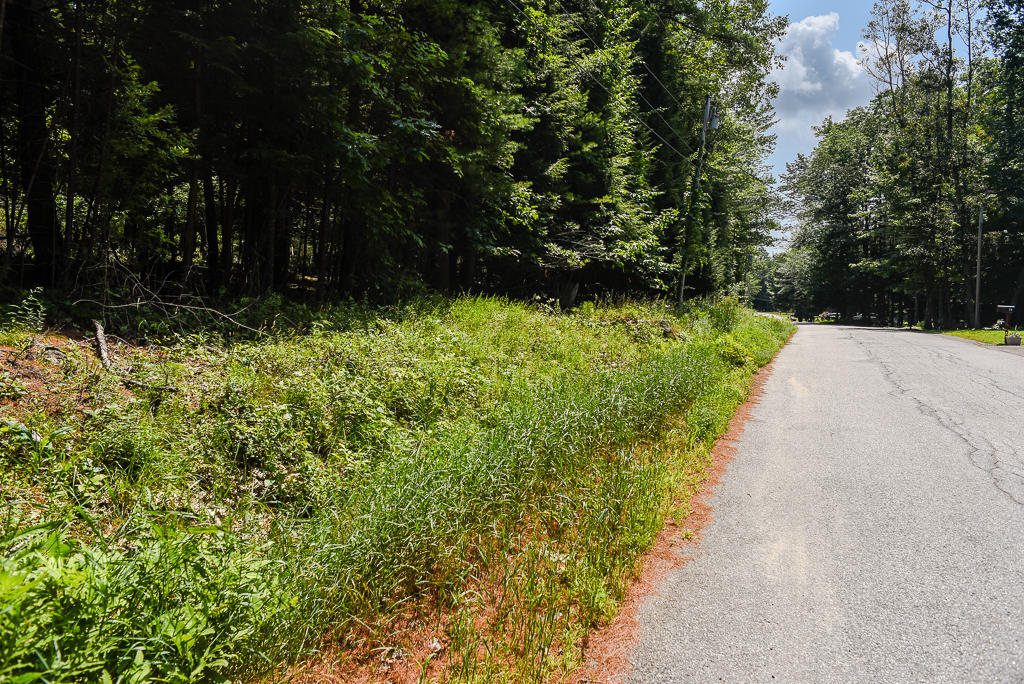 0 Kal Shore Road Norway, ME 04268 - Photo 3 of 3 60 Kal Shore Road (back lot) (3 of 3)