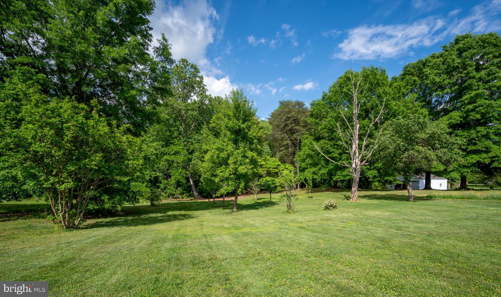 201 McCarty Road Fredericksburg, VA 22405 - Photo 62 of 63 Love the trees!
