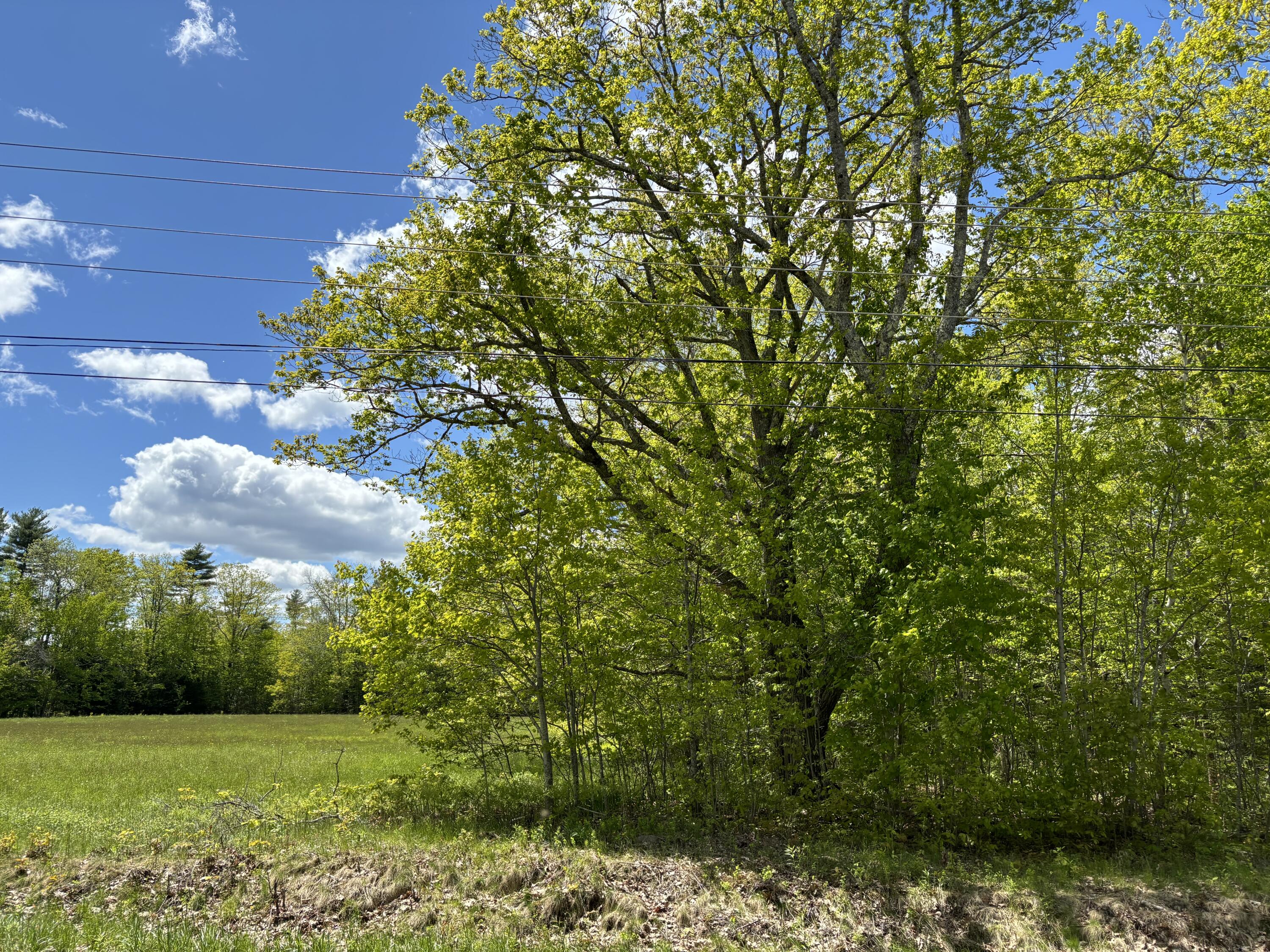 539 Waldoboro Road Washington, ME 04574 - Photo 14 of 16 IMG_1838