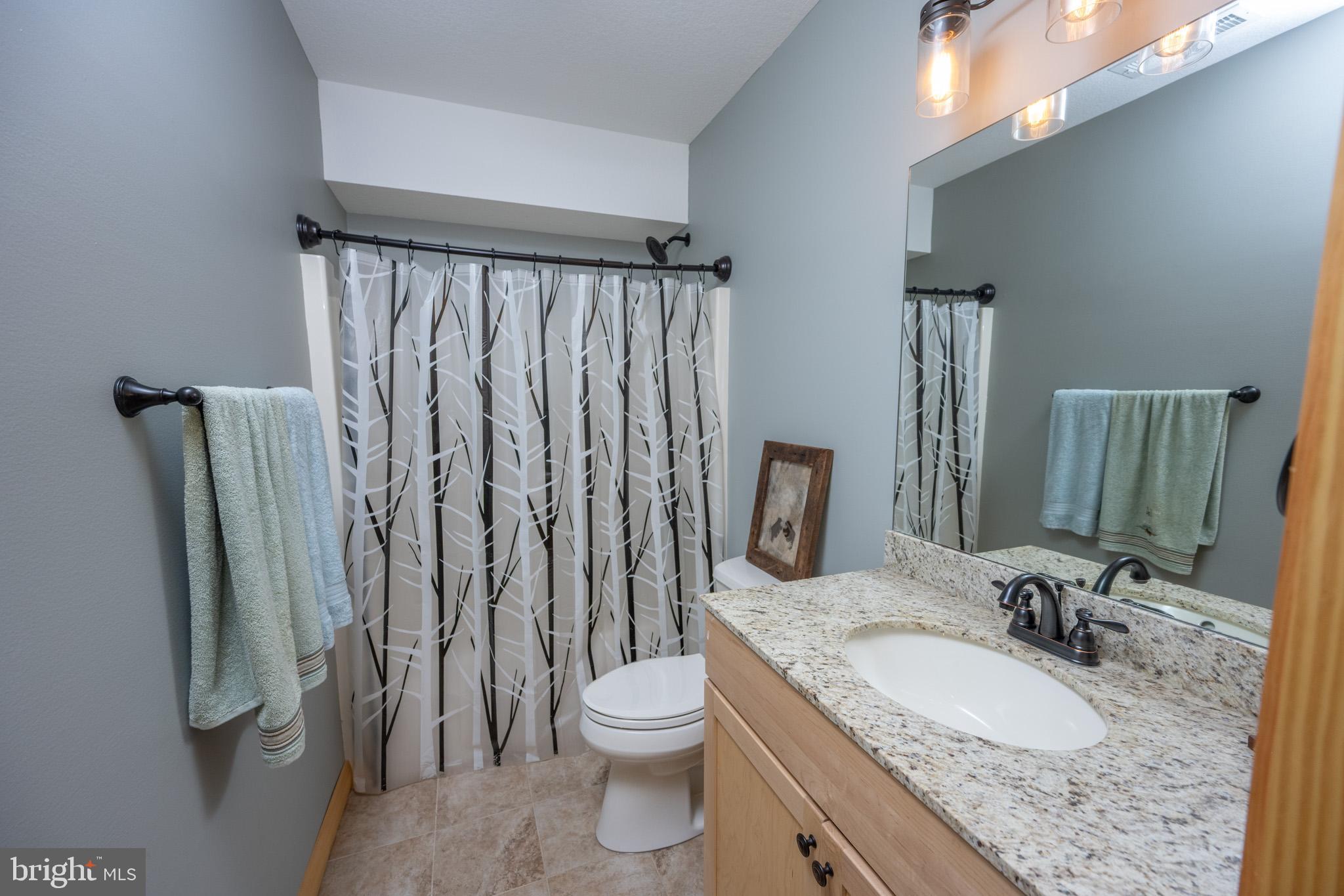 276 Sundance Way McHenry, MD 21541 - Photo 55 of 77 a bathroom with a granite countertop sink toilet and shower