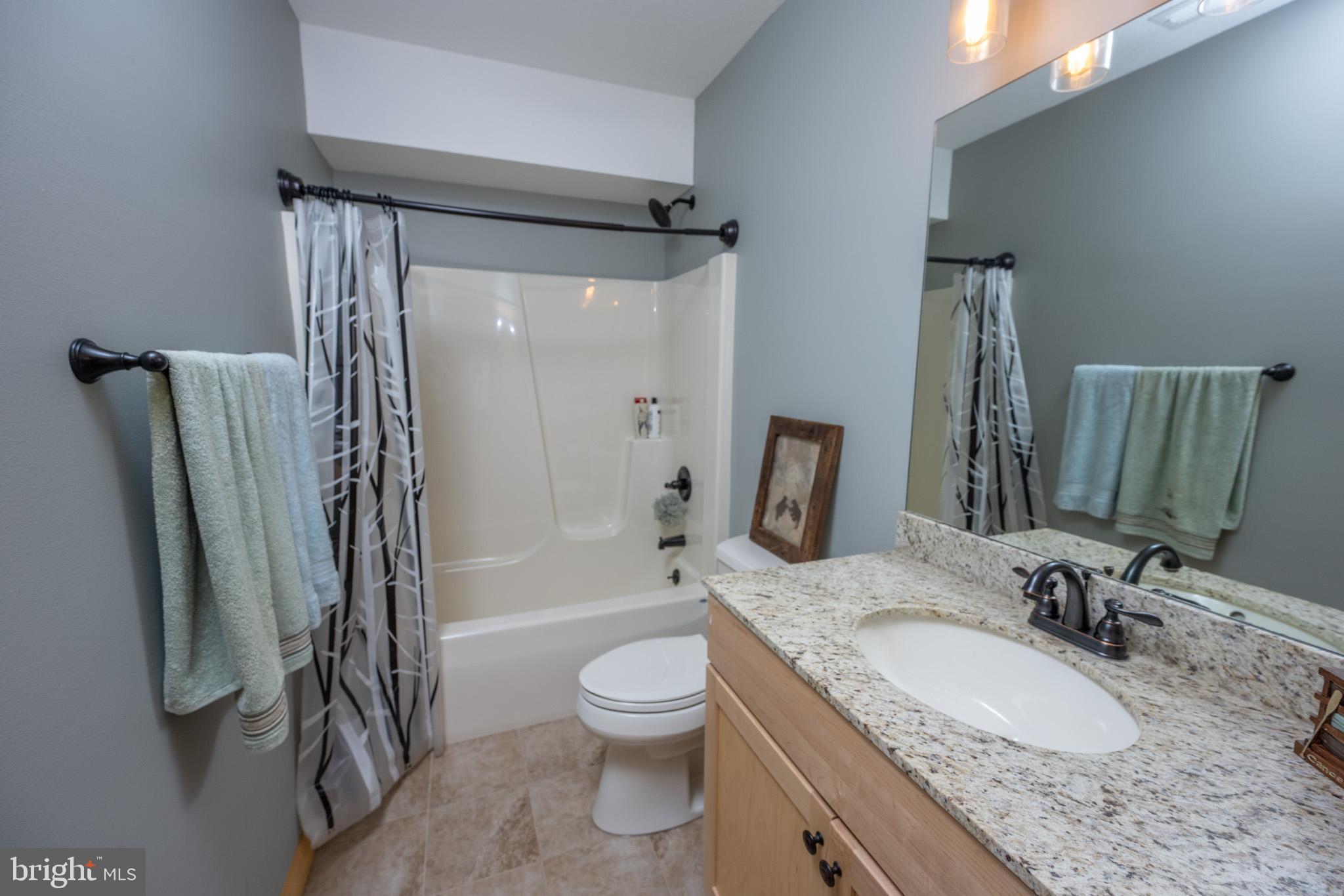 276 Sundance Way McHenry, MD 21541 - Photo 56 of 77 a bathroom with a granite countertop sink toilet and shower