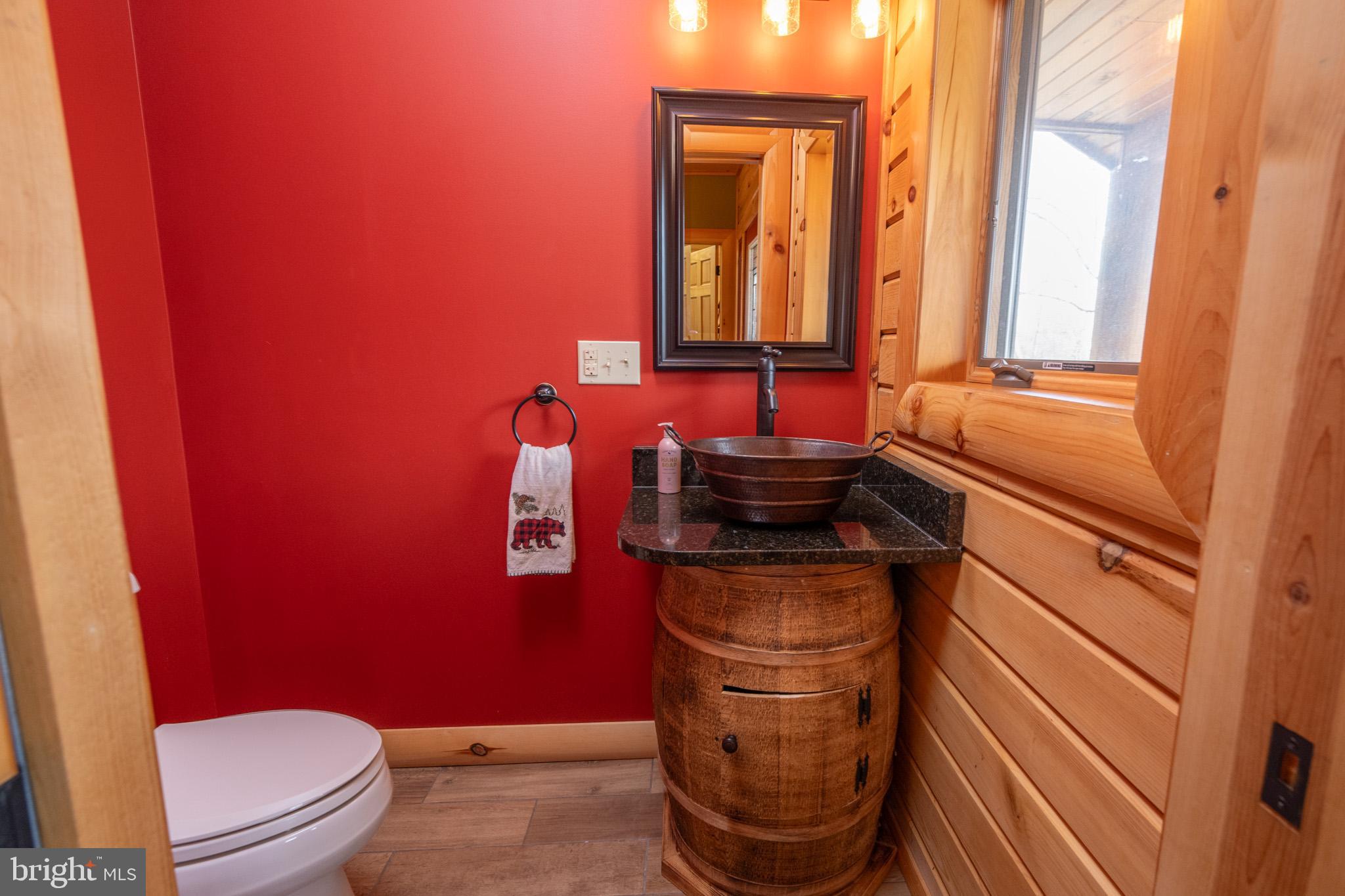 276 Sundance Way McHenry, MD 21541 - Photo 7 of 77 a bathroom with a toilet a sink and a mirror