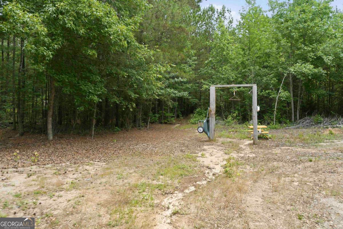 0 Pear Orchard Road Greensboro, GA 30642 - Photo 15 of 34