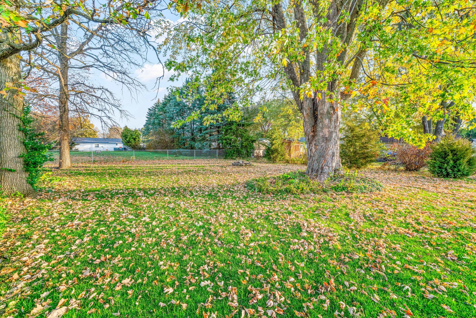 1014 Castle Street Sandwich, IL 60548 - Photo 15 of 21 a view of yard with trees in the background
