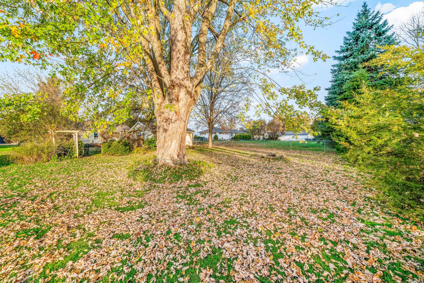 1014 Castle Street Sandwich, IL 60548 - Photo 21 of 21 a view of yard with tree