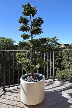 26 Braddock Park Boston, MA 02116 - Photo 19 of 25 a view of a house with a tub and city view