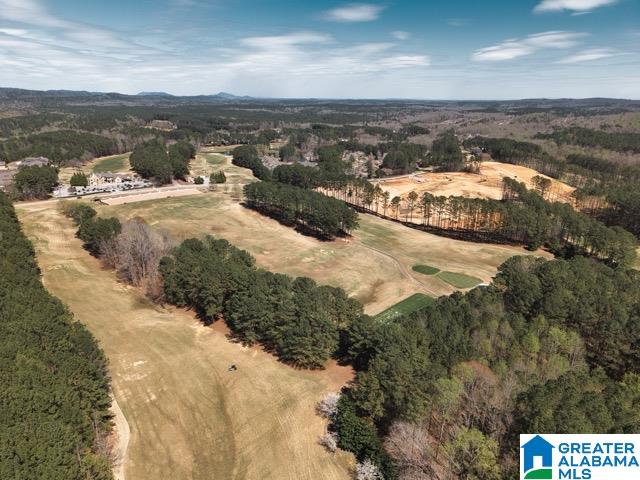 249 Kinross Circle Pelham, AL 35124 - Photo 24 of 26