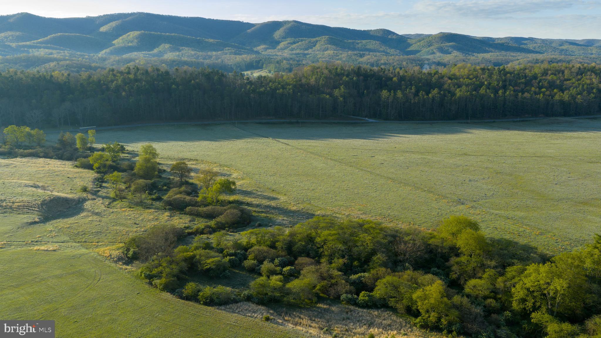 199 Green Bank Road Arbovale, WV 24915 - Photo 86 of 113