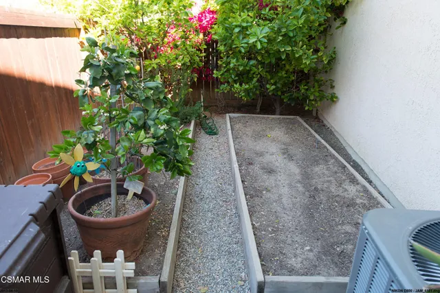 a view of a backyard with plants and garden