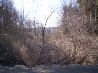 0 Murlatt Road Bath, NY 14810 - Photo 1 of 1
