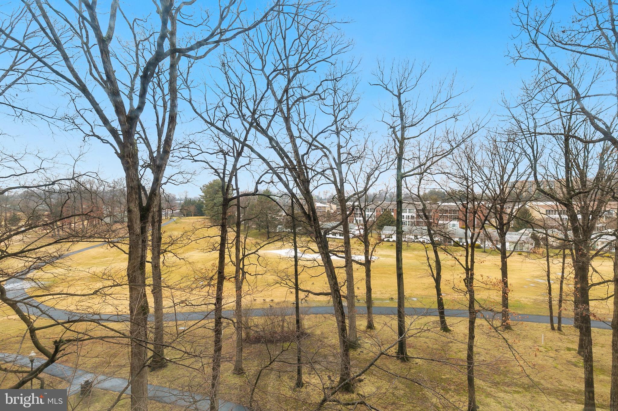 15101 Interlachen Drive, Unit 1416 Silver Spring, MD 20906 - Photo 19 of 45