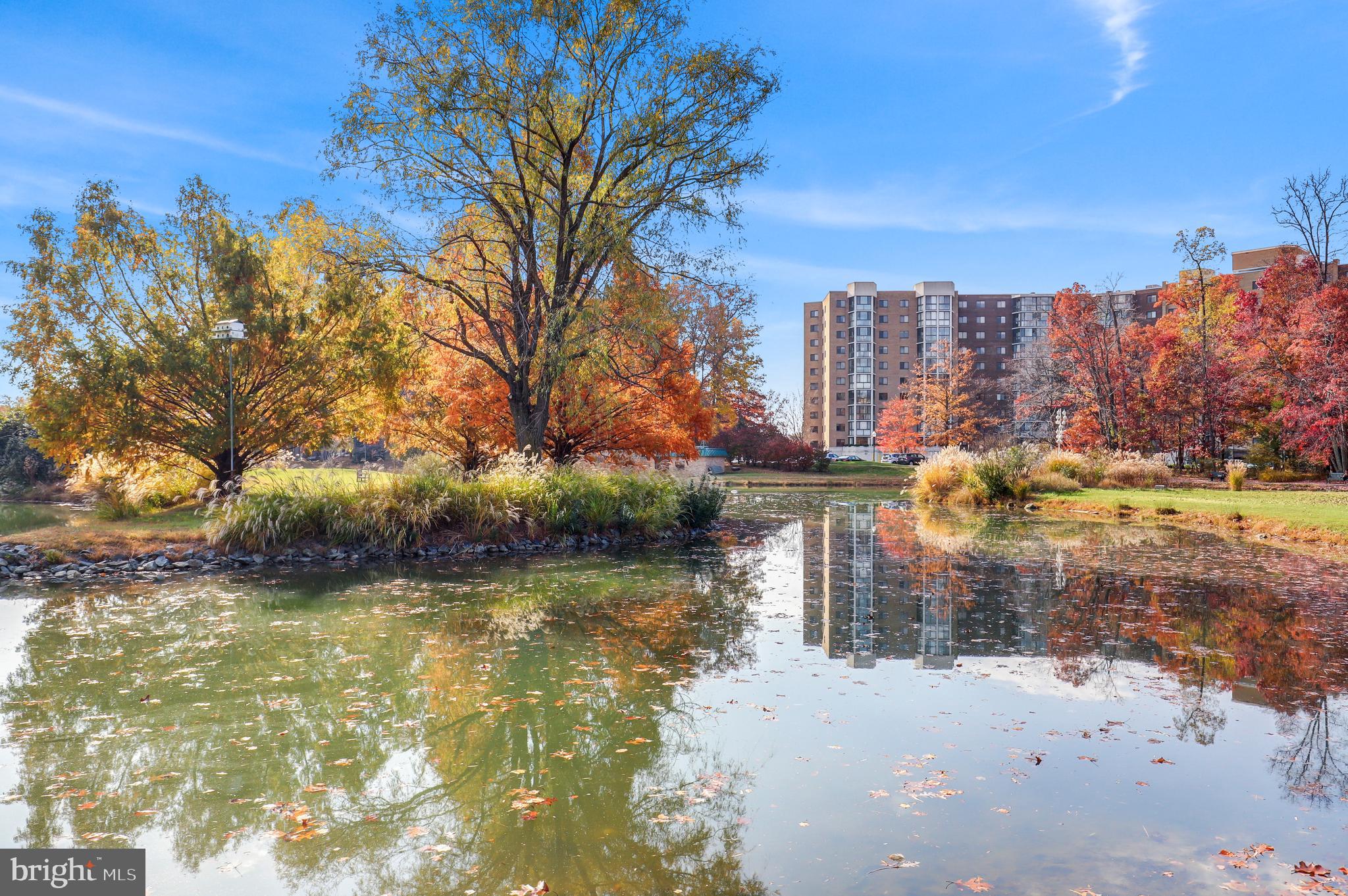 15101 Interlachen Drive, Unit 1416 Silver Spring, MD 20906 - Photo 45 of 45