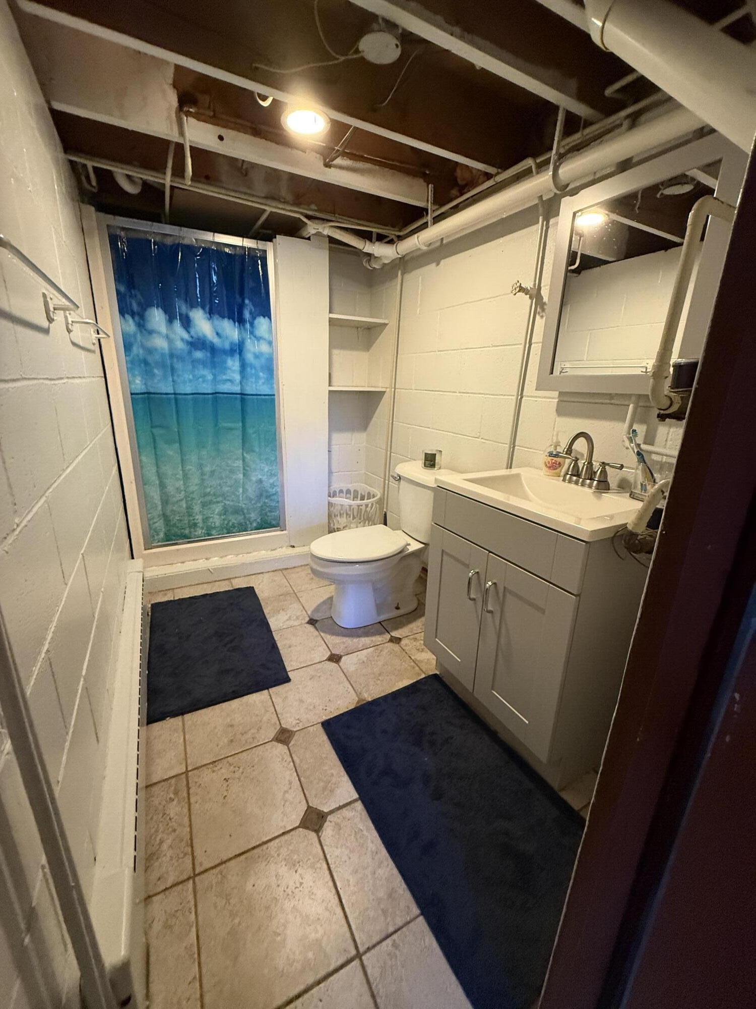 287 West Butler Street Bad Axe, MI 48413 - Photo 17 of 24 lower level bath with shower