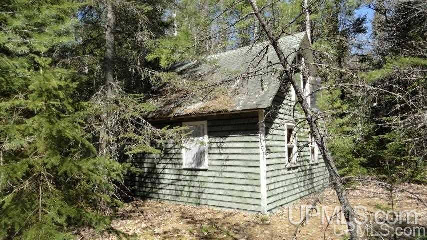 Tbd Off Doe Lake Road Munising, MI 49862 - Photo 5 of 11