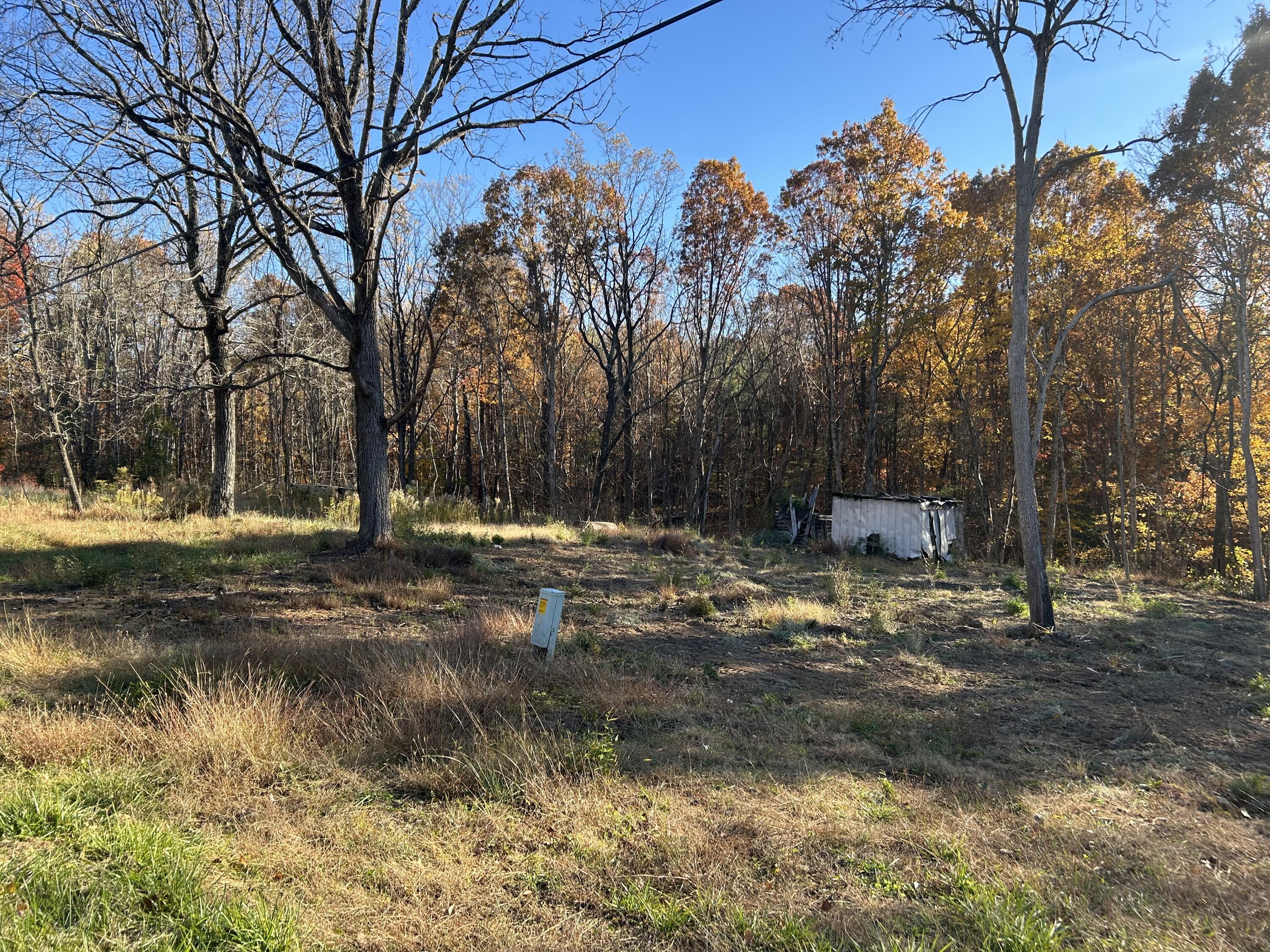 a view of outdoor space with trees