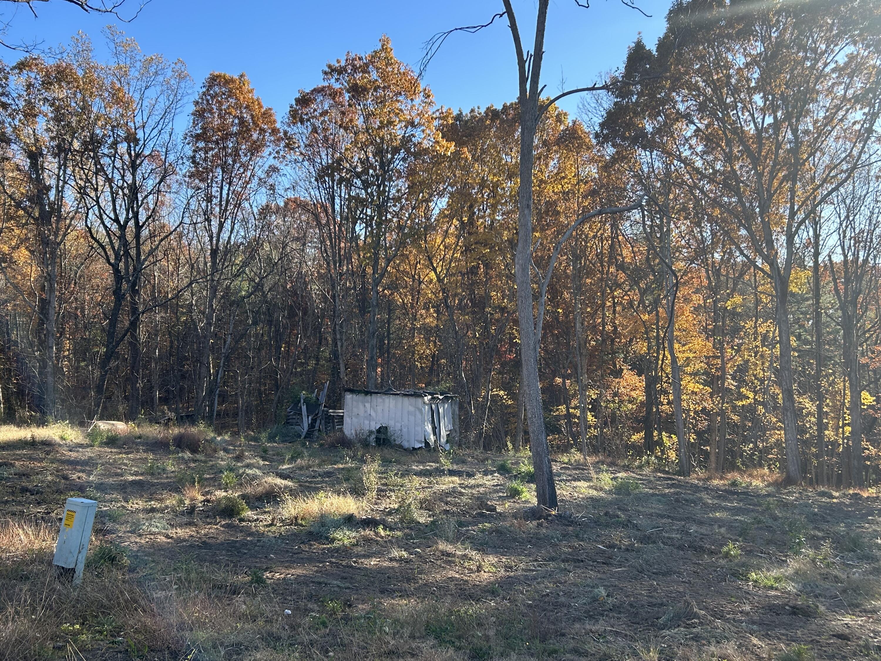 3102 Old Forge Road Callaway, VA 24067 - Photo 3 of 4 a backyard of a house with lots of green space