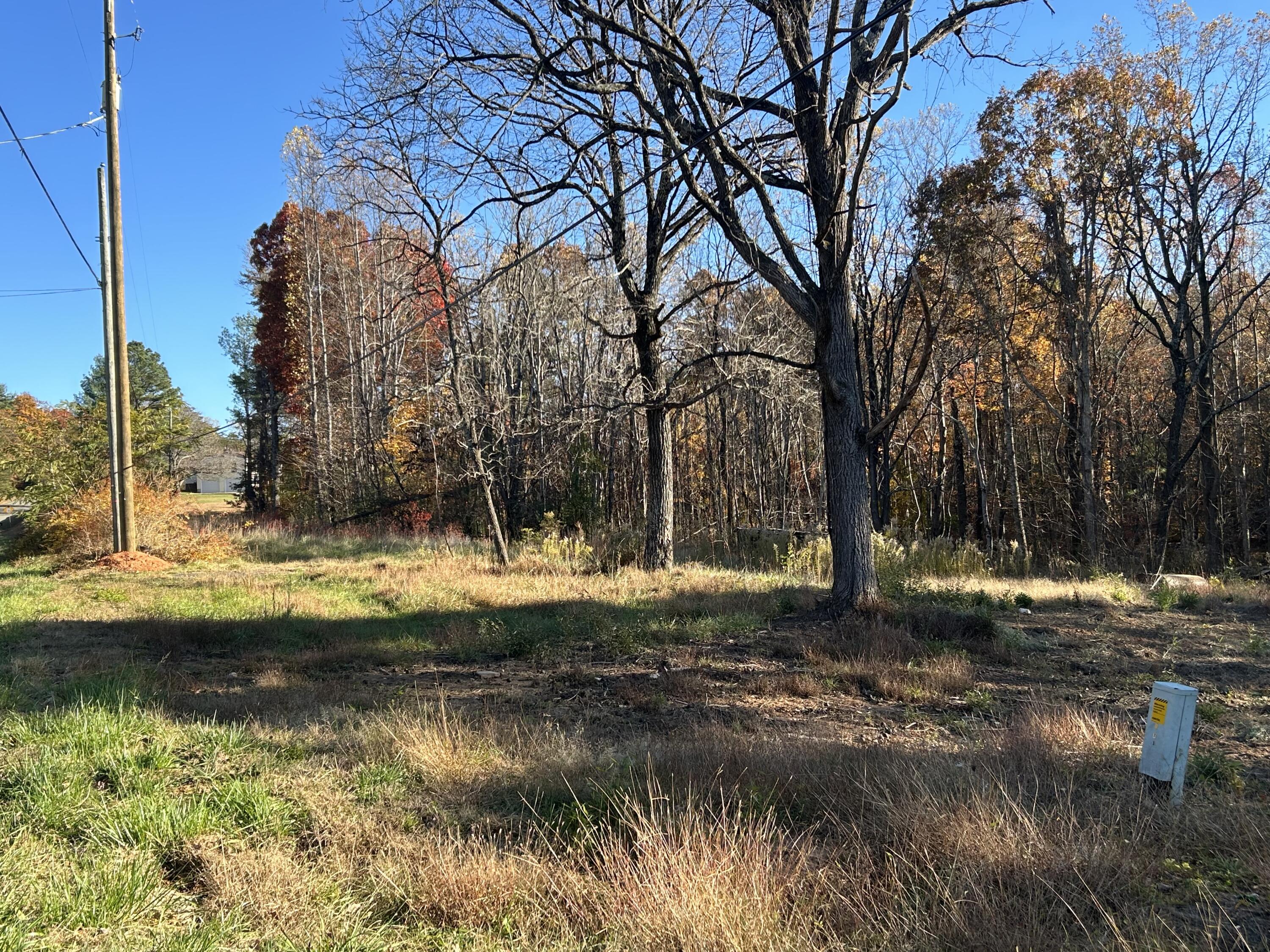 3102 Old Forge Road Callaway, VA 24067 - Photo 4 of 4 a backyard of a house with lots of green space