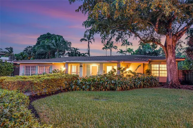 a view of a backyard with plants and a garden