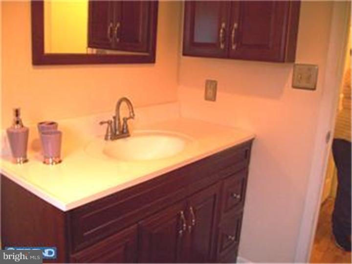 1425 Kingsley Road Havertown, PA 19083 - Photo 16 of 16 Bathroom