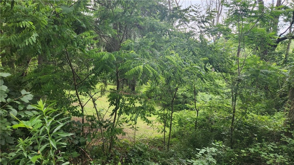 401 Lower Pace Road Corning, NY 14830 - Photo 5 of 18 Back Yard