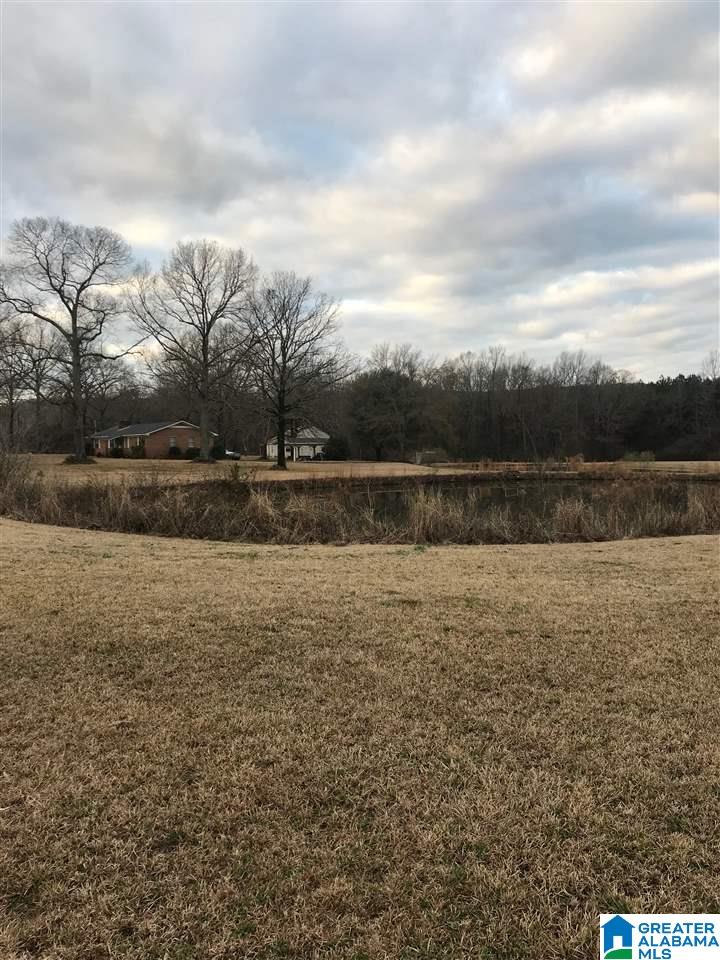 1547 Fulton Gap Road Sylacauga, AL 35150 - Photo 2 of 46