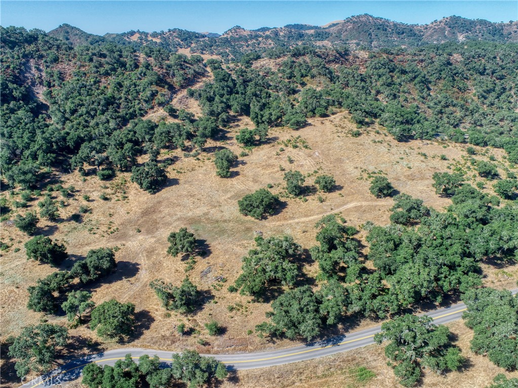 0 Huasna Road Arroyo Grande, CA 93420 - Photo 16 of 19 view of a forest with a forest