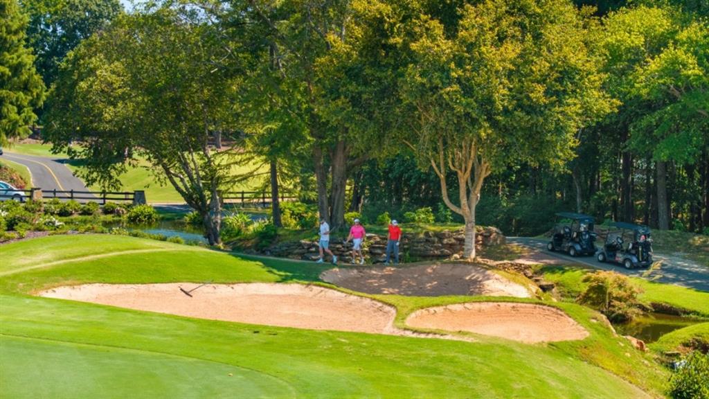 2919 Daxton Lane Gainesville, GA 30507 - Photo 45 of 46