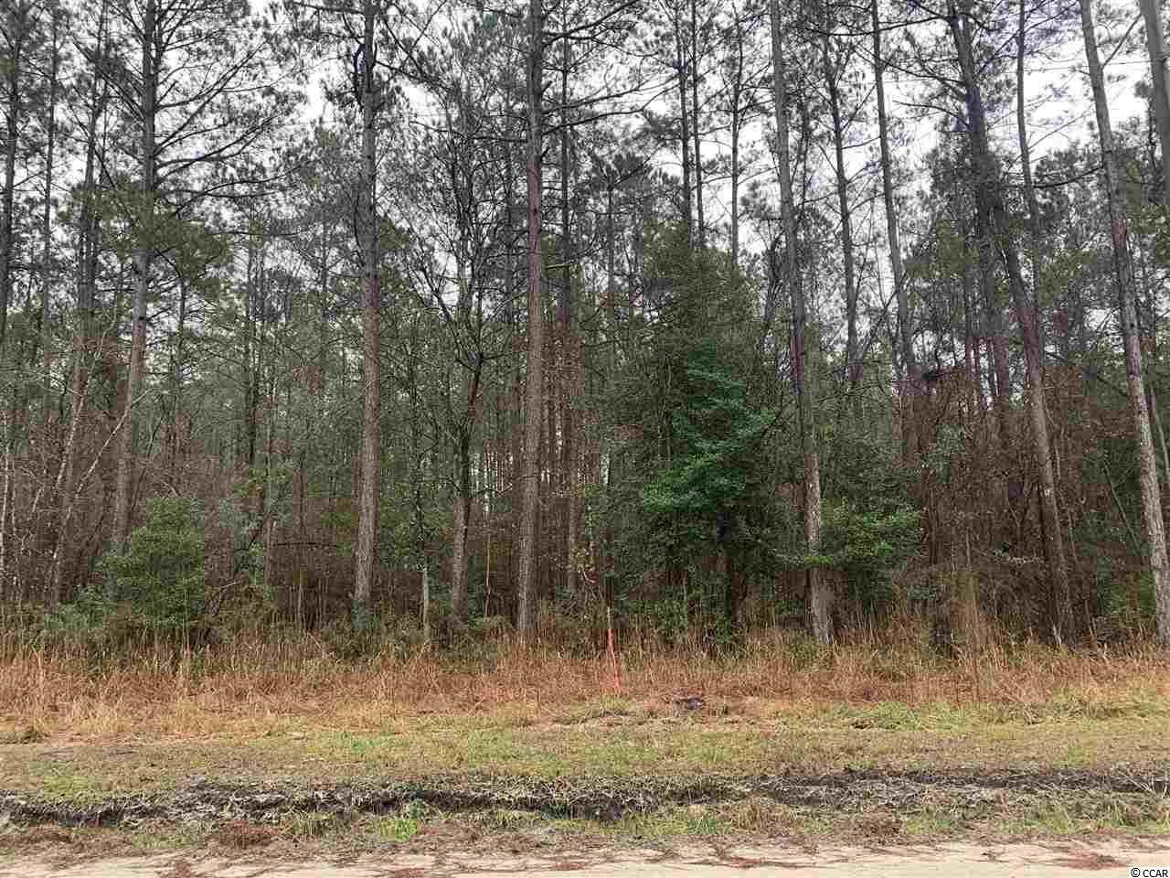 Lot 2-and West Cay Road Loris, SC 29569 - Photo 1 of 10 Gallery Image 1