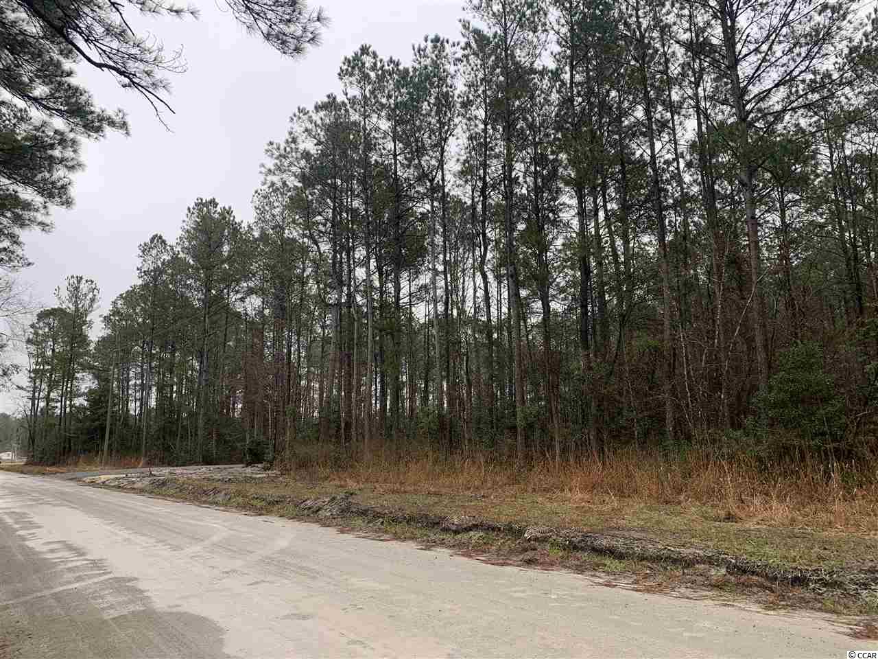 Lot 2-and West Cay Road Loris, SC 29569 - Photo 2 of 10 Gallery Image 2
