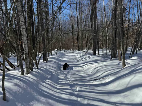 $232,500 | 0 White Mountain Highway, Sanbornville, NH 03872