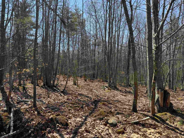 $232,500 | 0 White Mountain Highway, Sanbornville, NH 03872