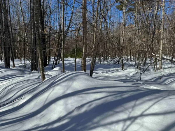 $232,500 | 0 White Mountain Highway, Sanbornville, NH 03872