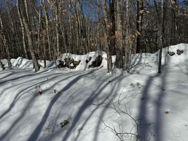 $232,500 | 0 White Mountain Highway, Sanbornville, NH 03872