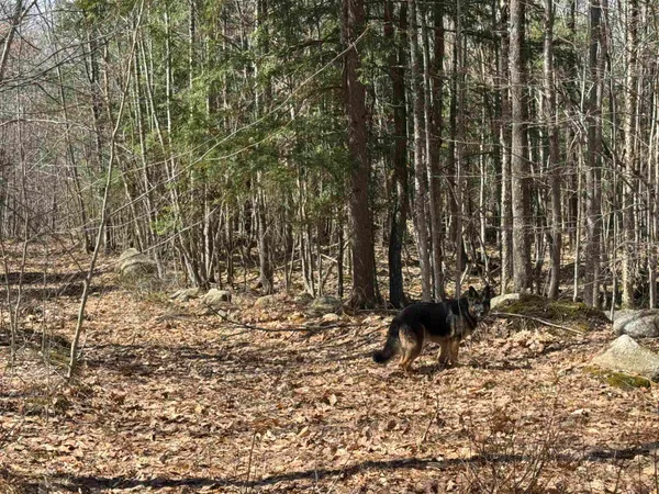 $232,500 | 0 White Mountain Highway, Sanbornville, NH 03872